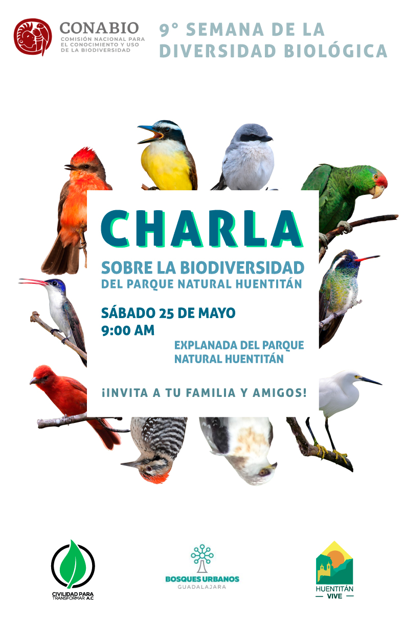 cartek charla.jpg